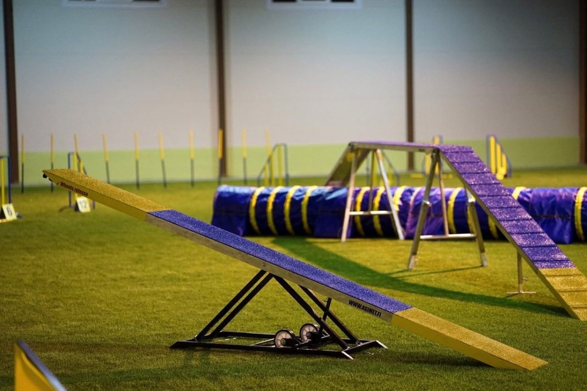 Снаряды для аджилити бум