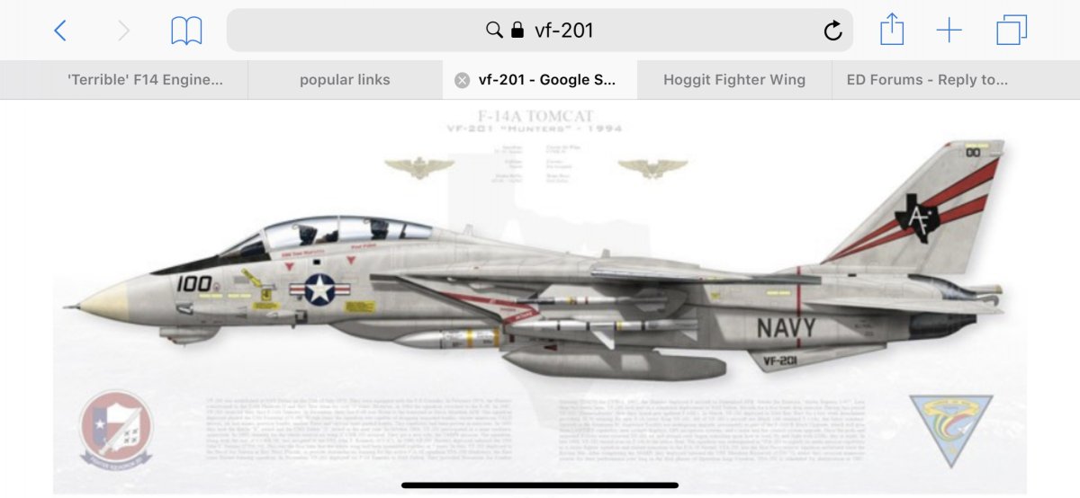 F-14 1977 Jolly Rogers