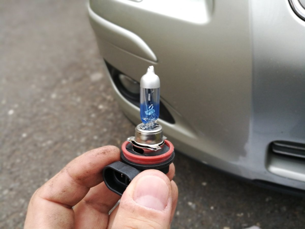 Цоколь лампы в ПТФ Тойота Авенсис 2007