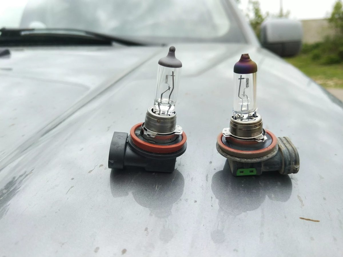 Лампа ближнего света Тойота ленд Крузер 100