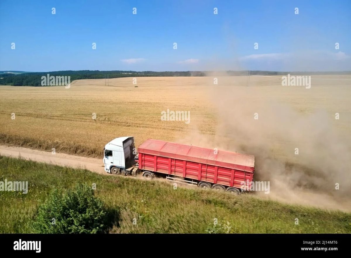 Грузовик с пшеницей