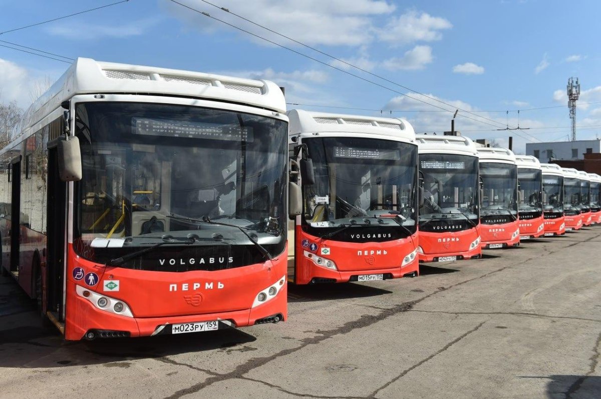 Новые автобусы