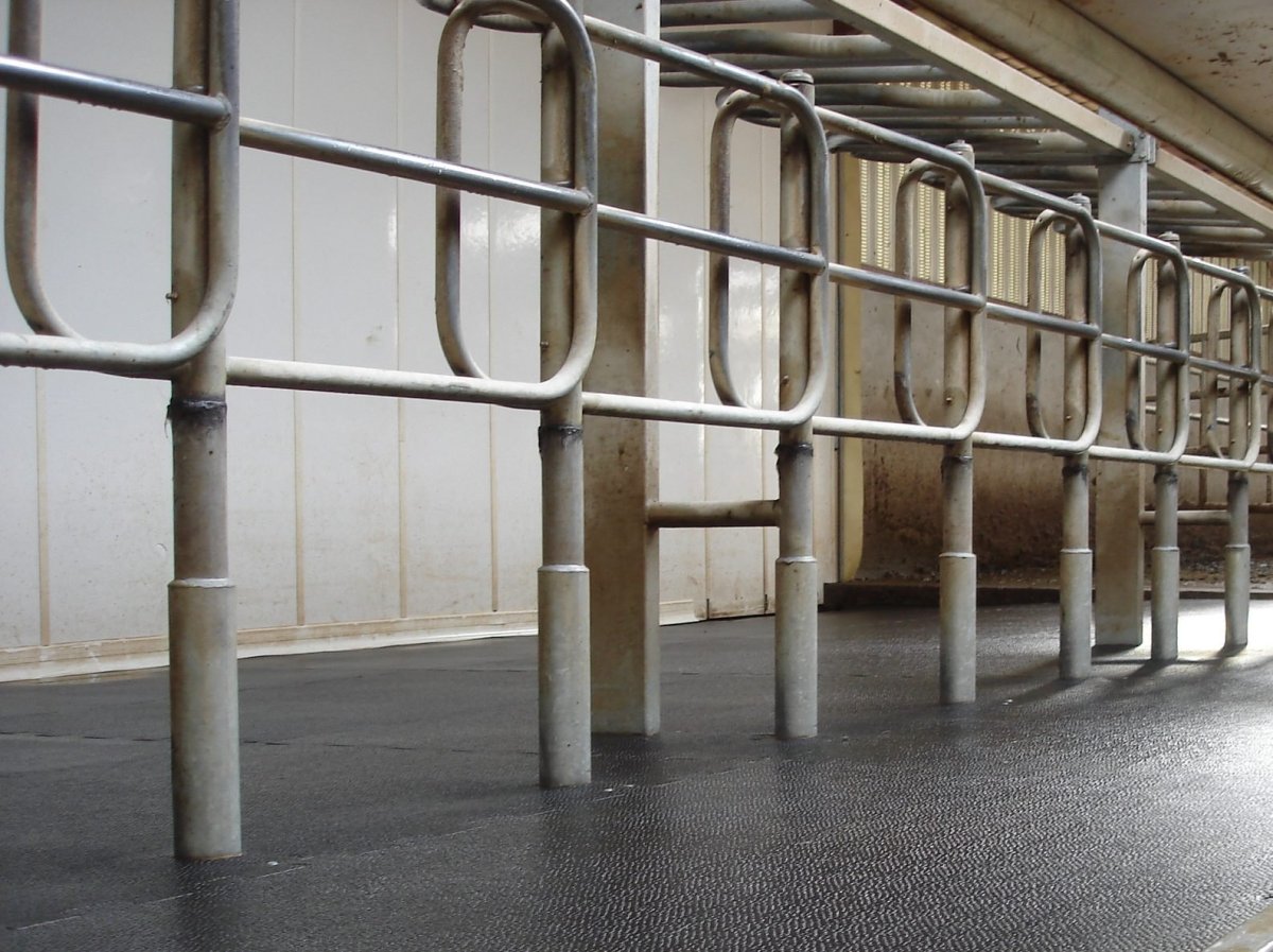 Настилы для животноводческих помещений