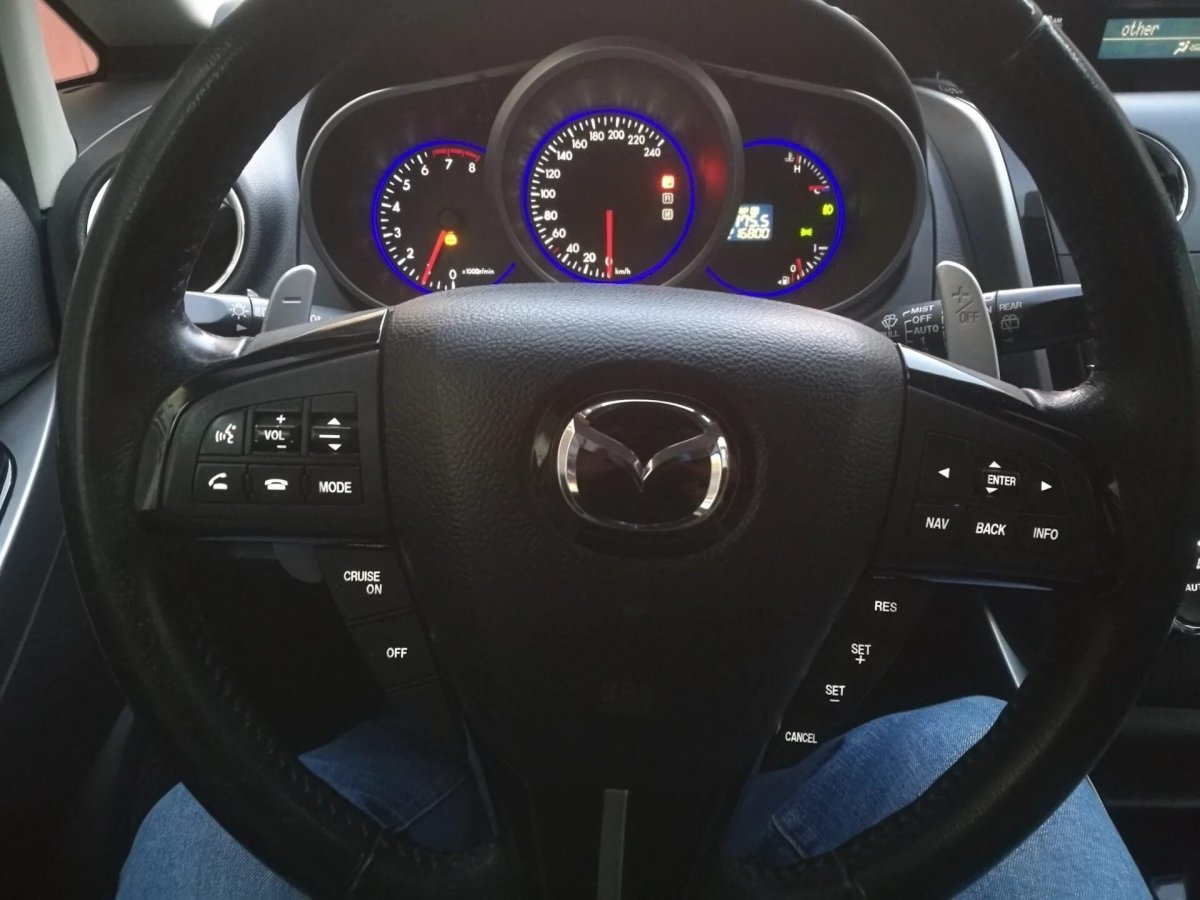 Подрулевые лепестки Лансер 10