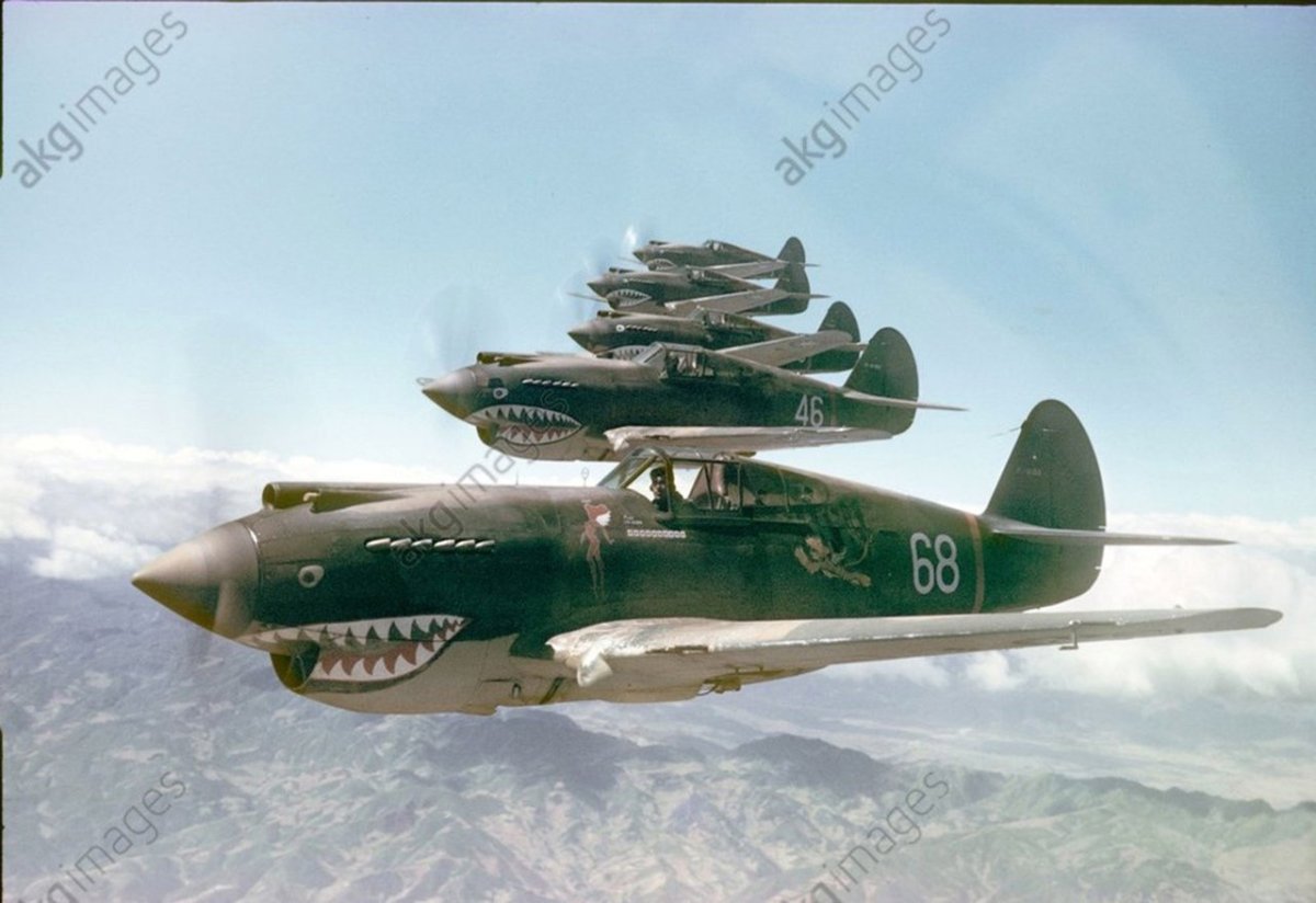 Shark p-40