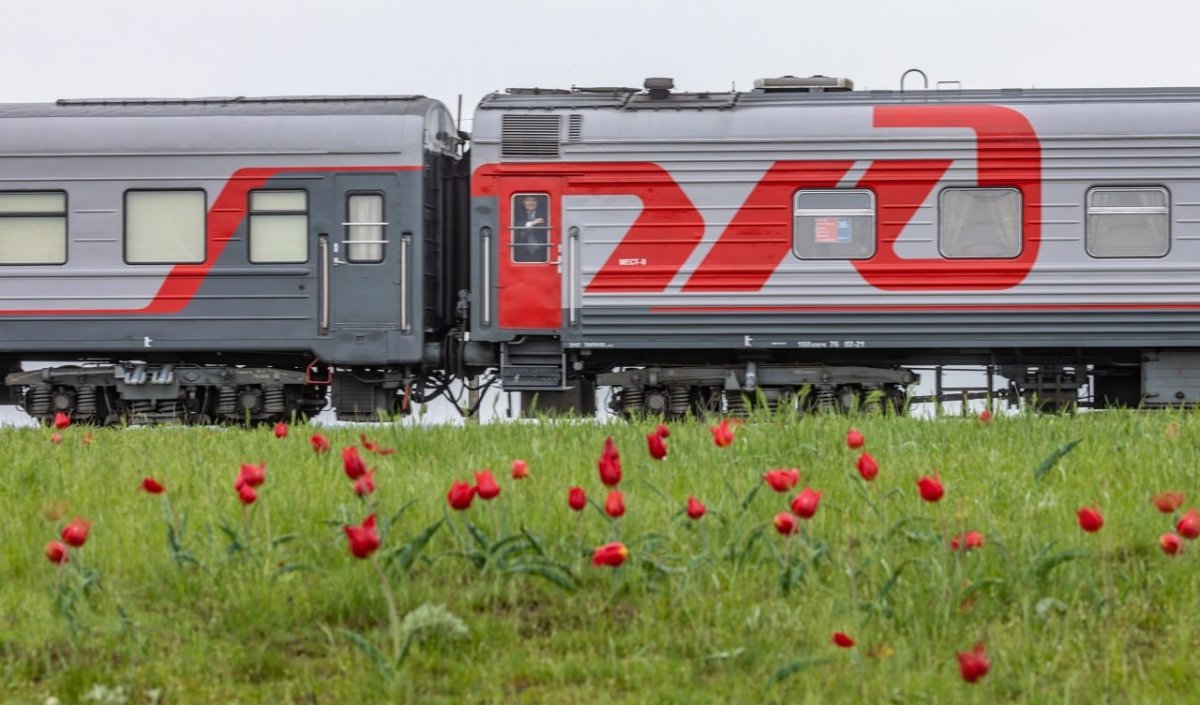 РЖД тур Цветущая степь