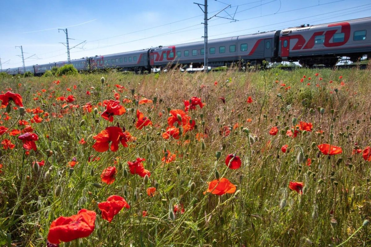 Поезд в Крым
