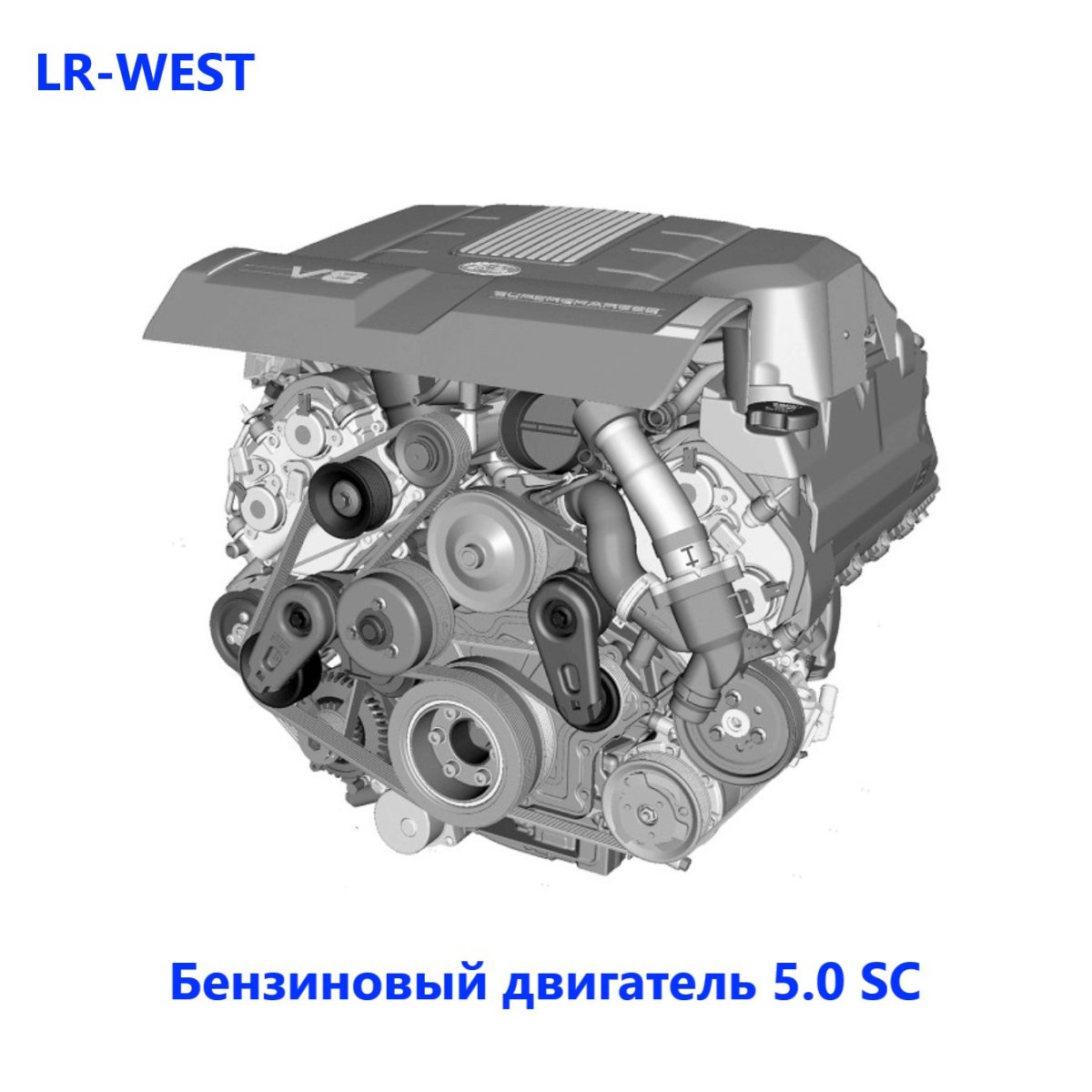 Приводной ремень Рендж Ровер 4.2 бензин