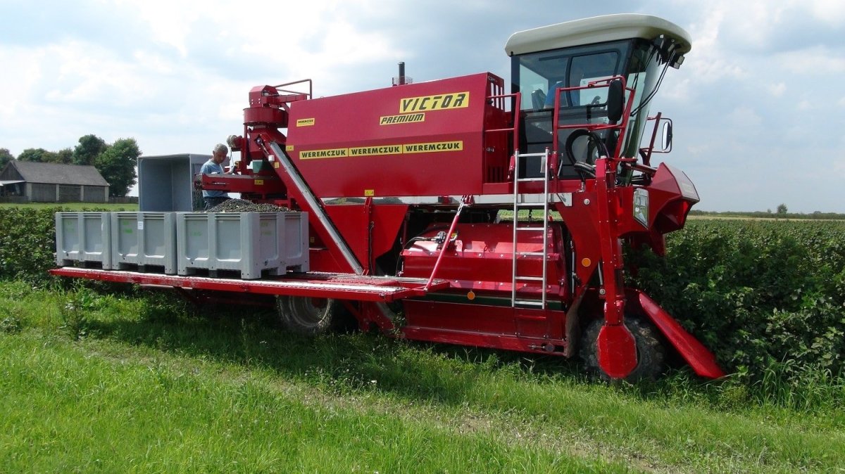 Ягодоуборочный комбайн Йонас