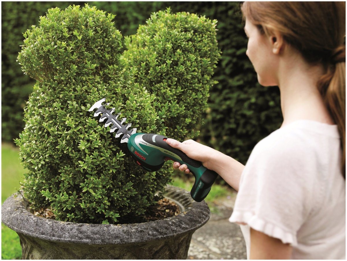 Bosch ASB 10.8 li Set