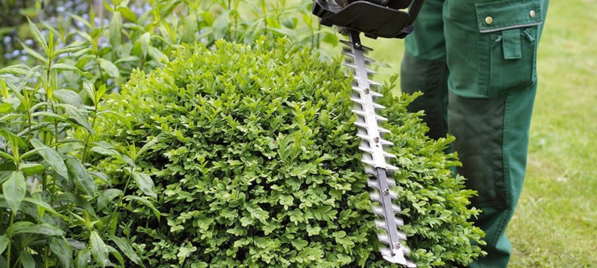 Стрижка кустарников