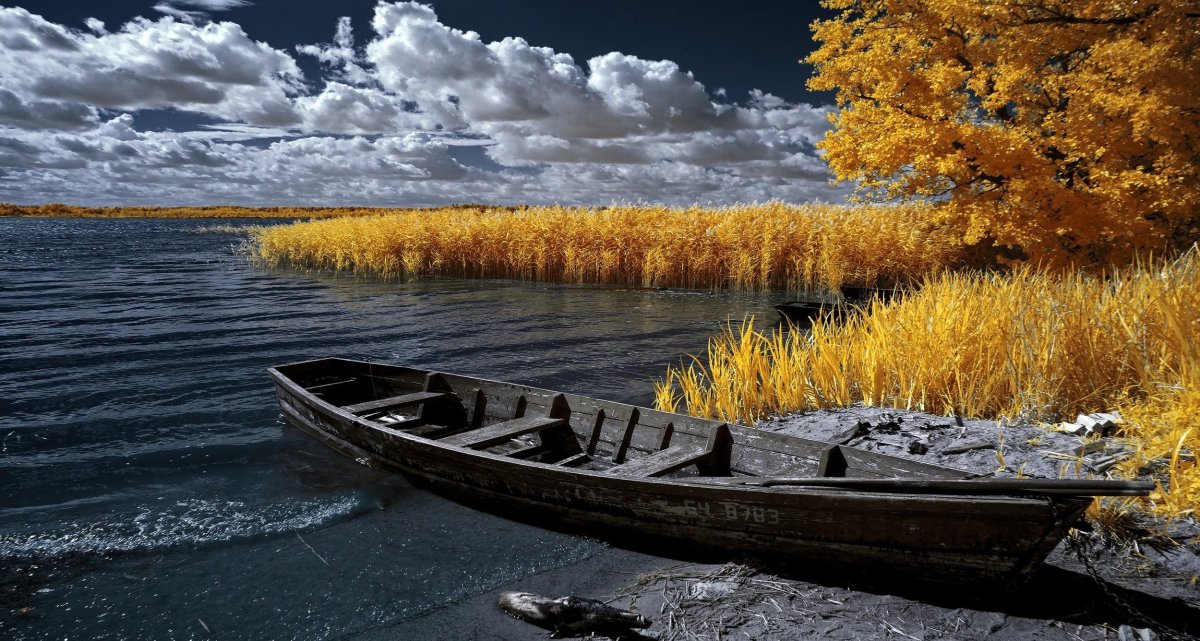 Лодка на озере