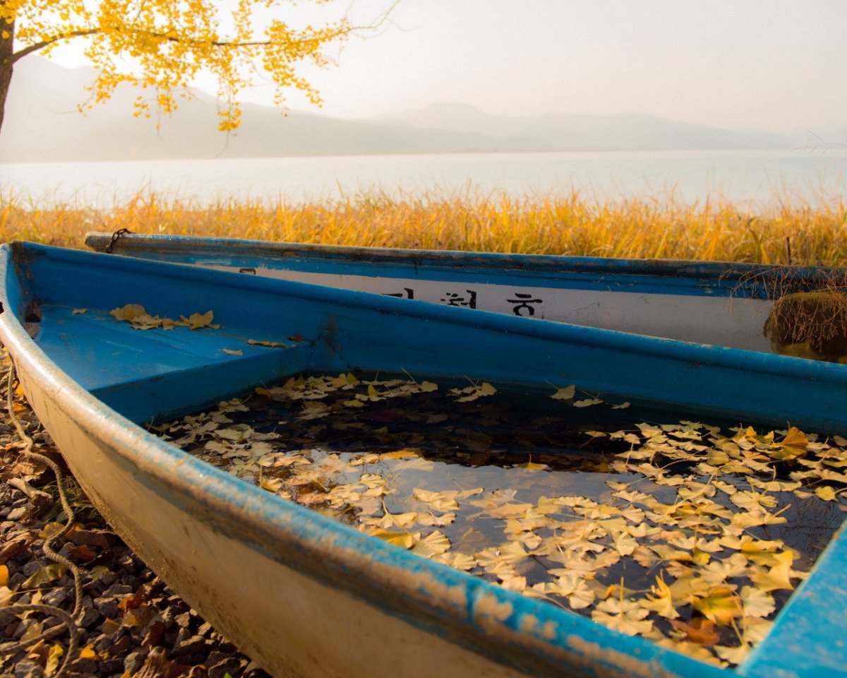 Желтая лодка