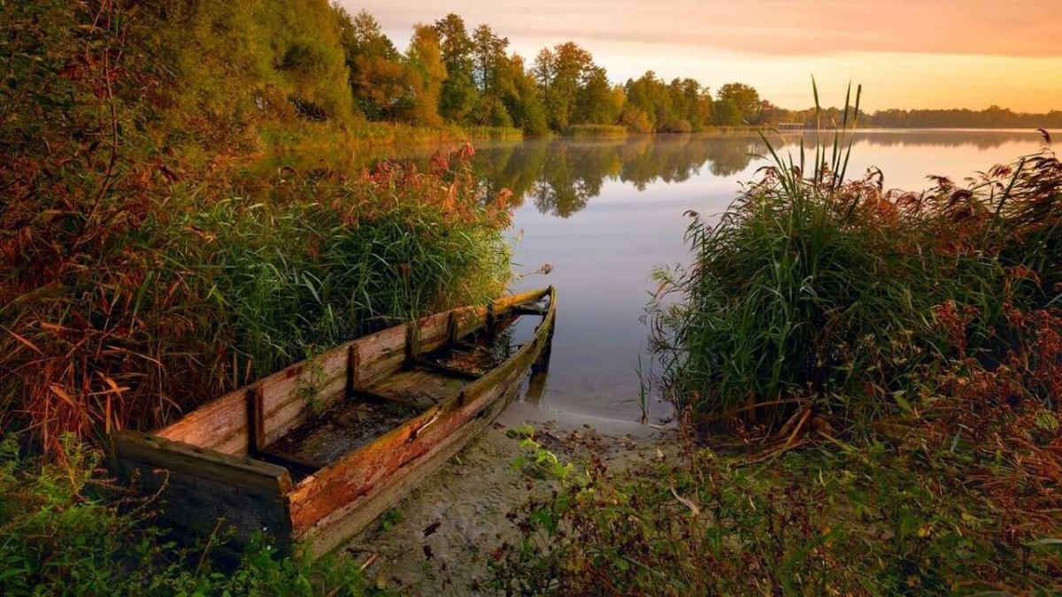 Река Унжа с моста