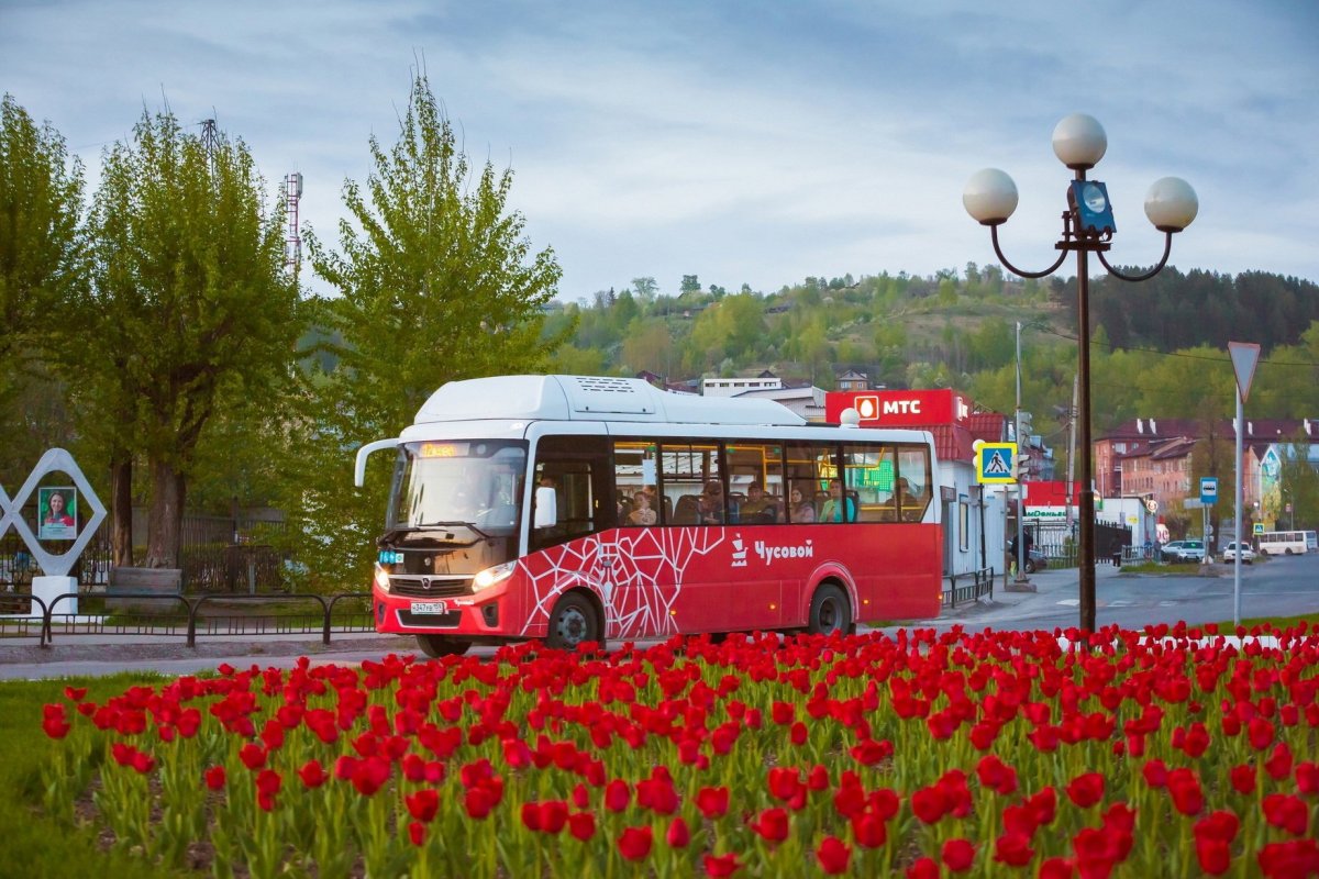 Хохлома на автобусе