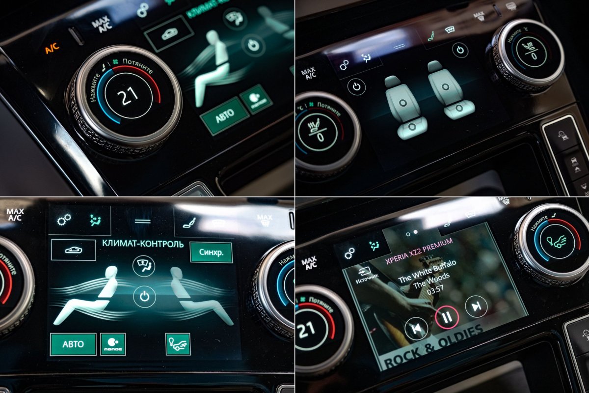 Панель климат контроля Arcana