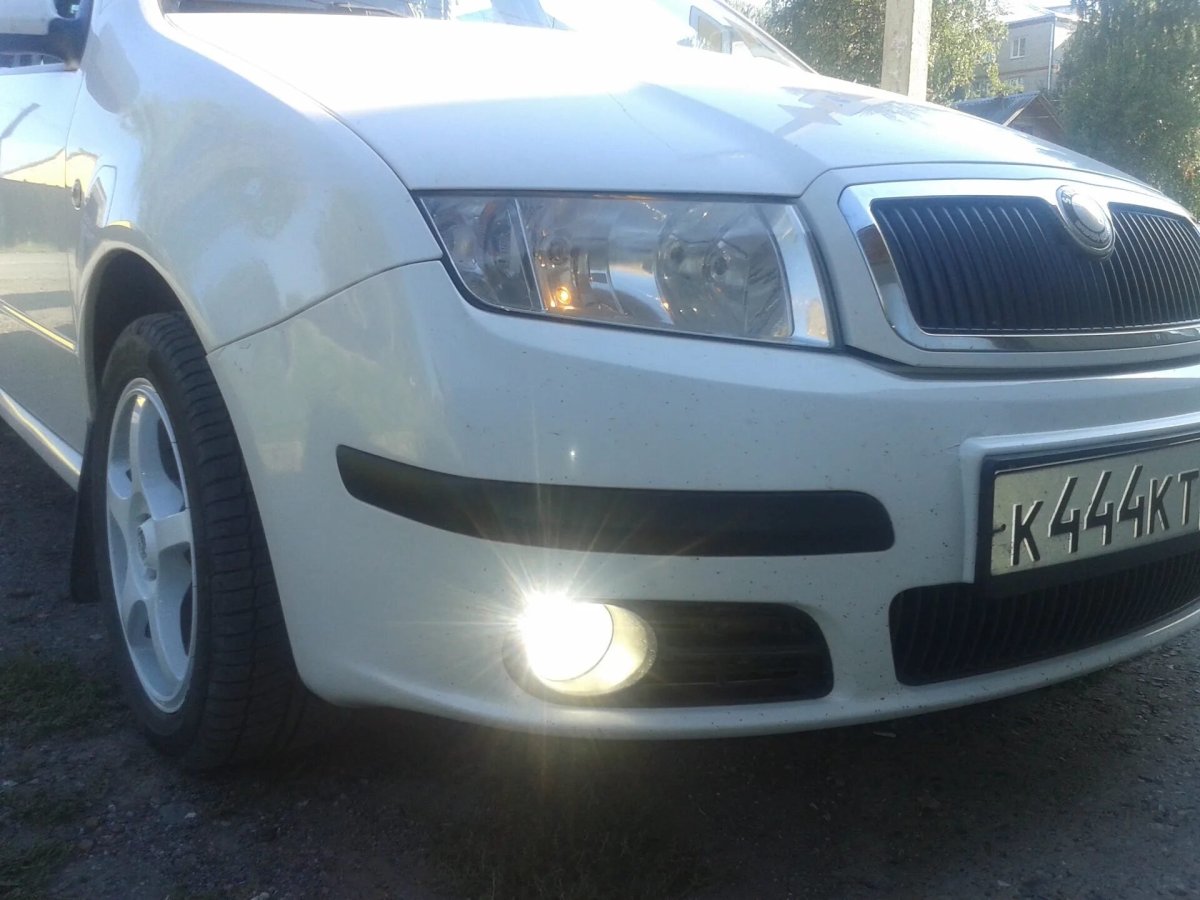 Противотуманка школа Фабия 2