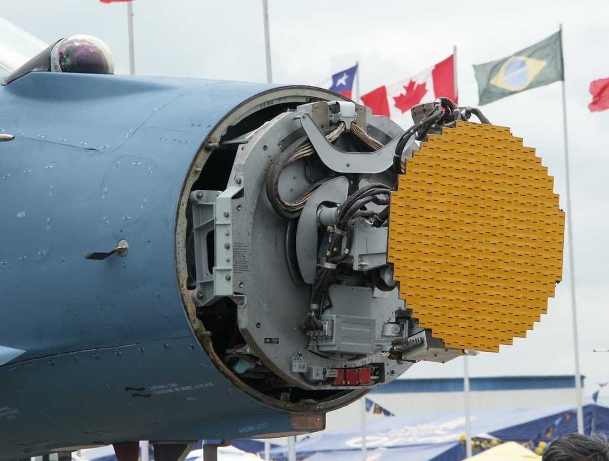 Афар БРЛС Жук