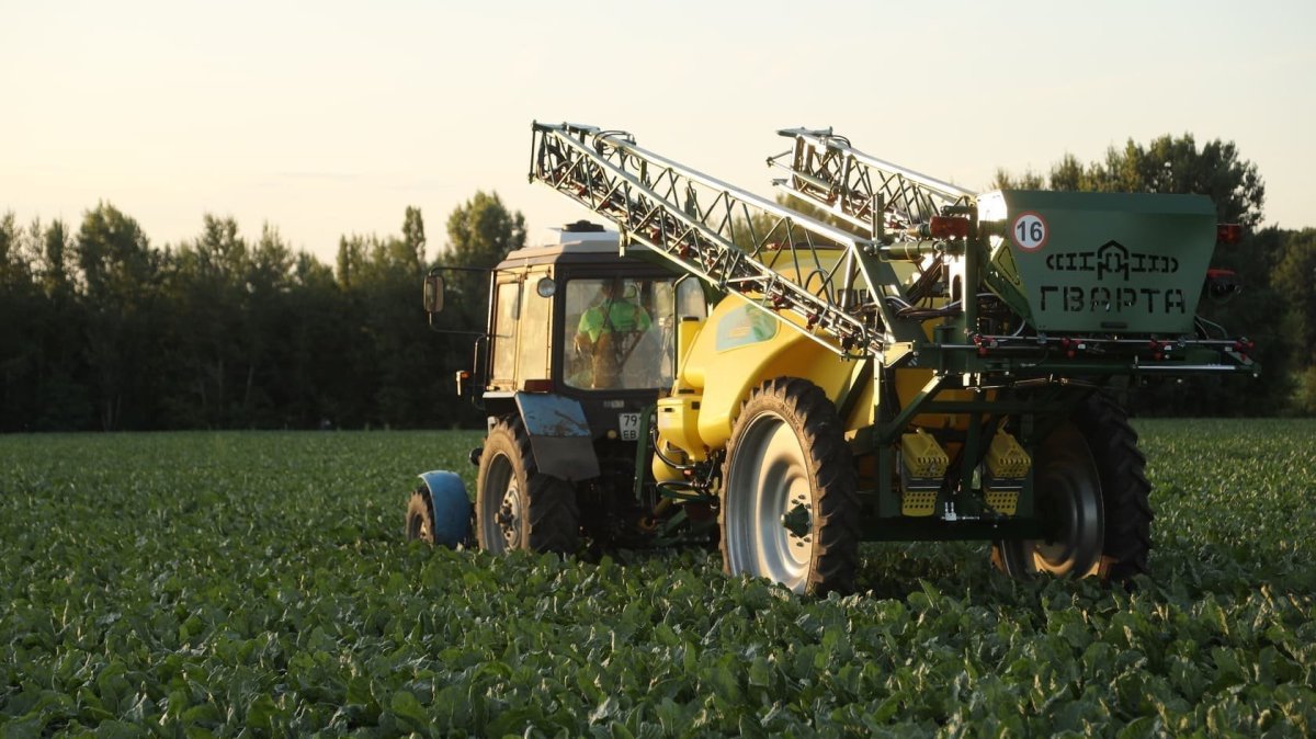 Гварта 8 в поле