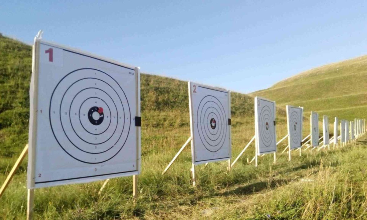 Электронная мишень