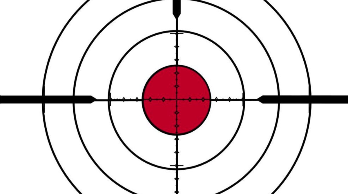 Пристрелочная мишень на 100 метров