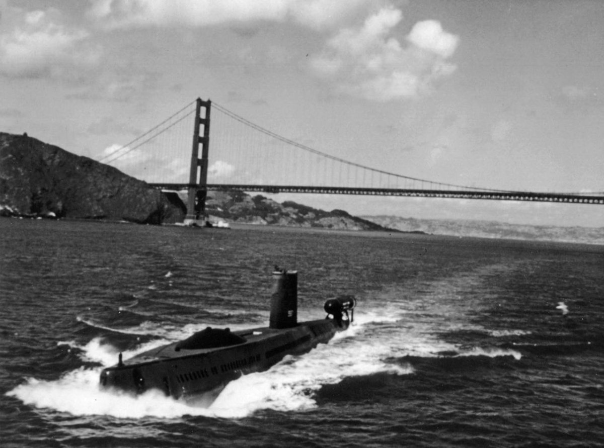 USS Halibut