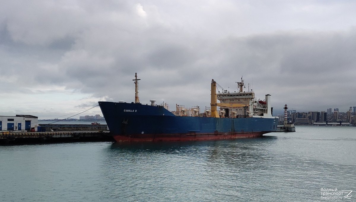 Сухогруз Паша балкер