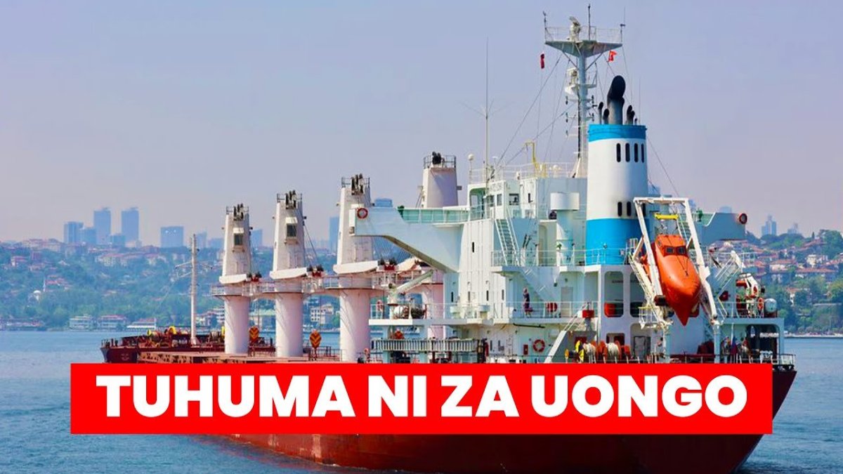 Балкер матрос кошка