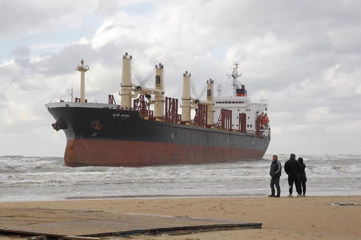 Сухогруз Блю Шарк