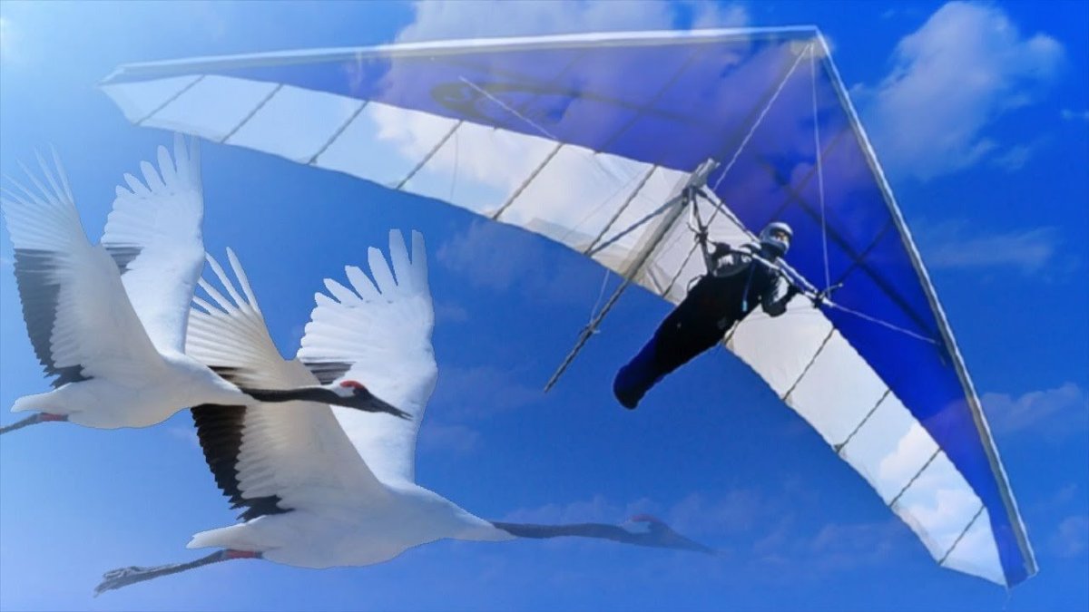 Мечта летать