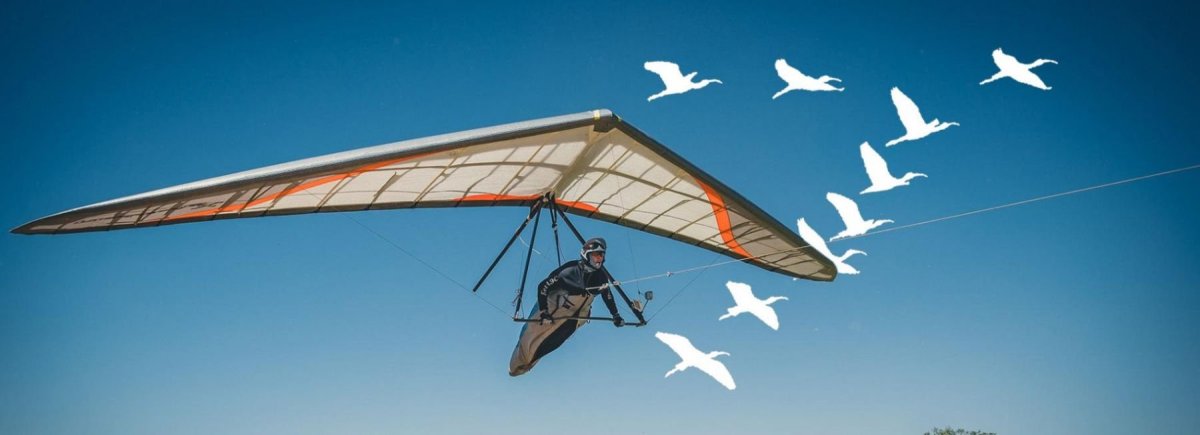 Дельтаплан 1948 г