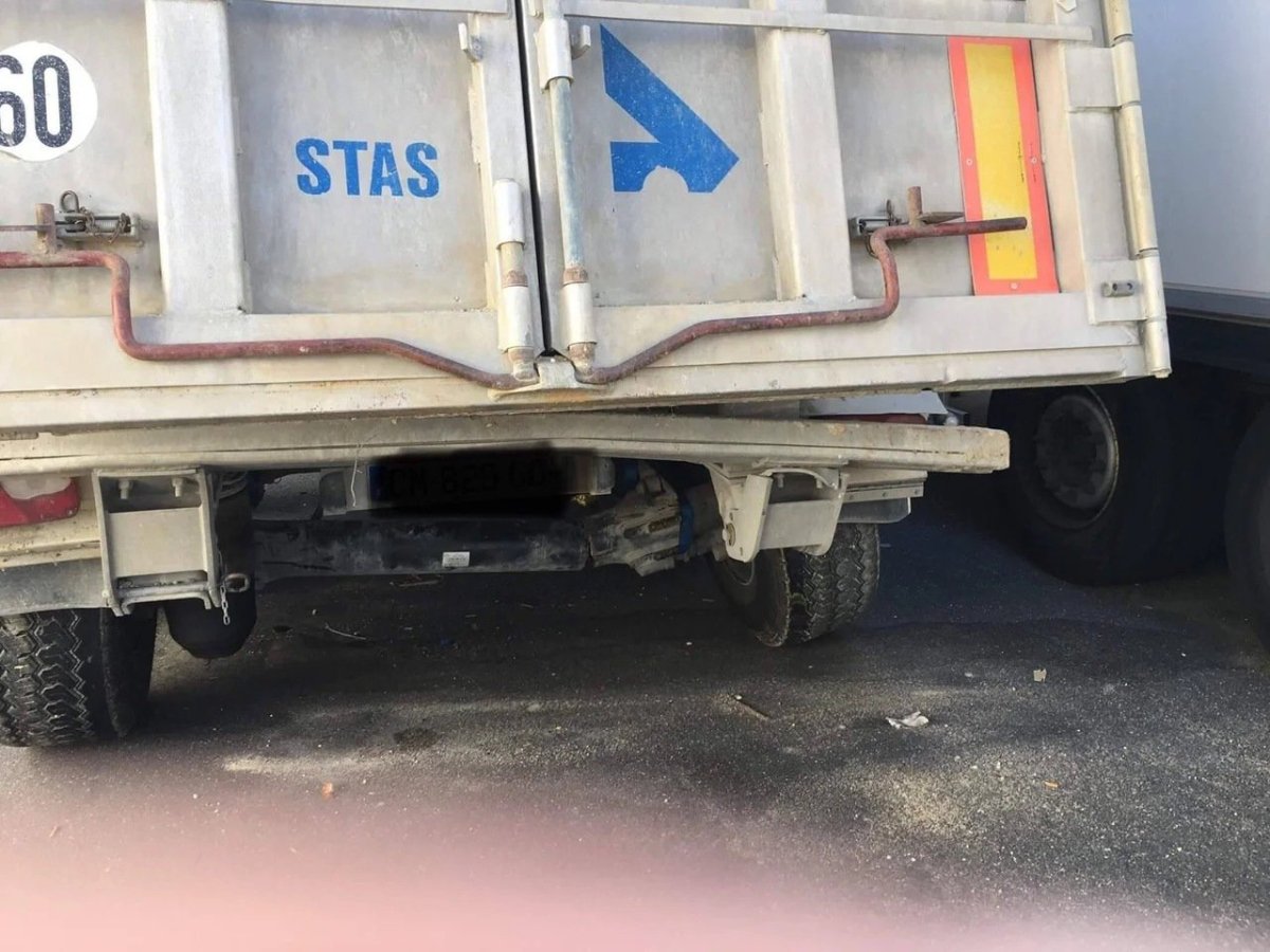 Кот держит табличку гонял на КАМАЗЕ С перегрузом