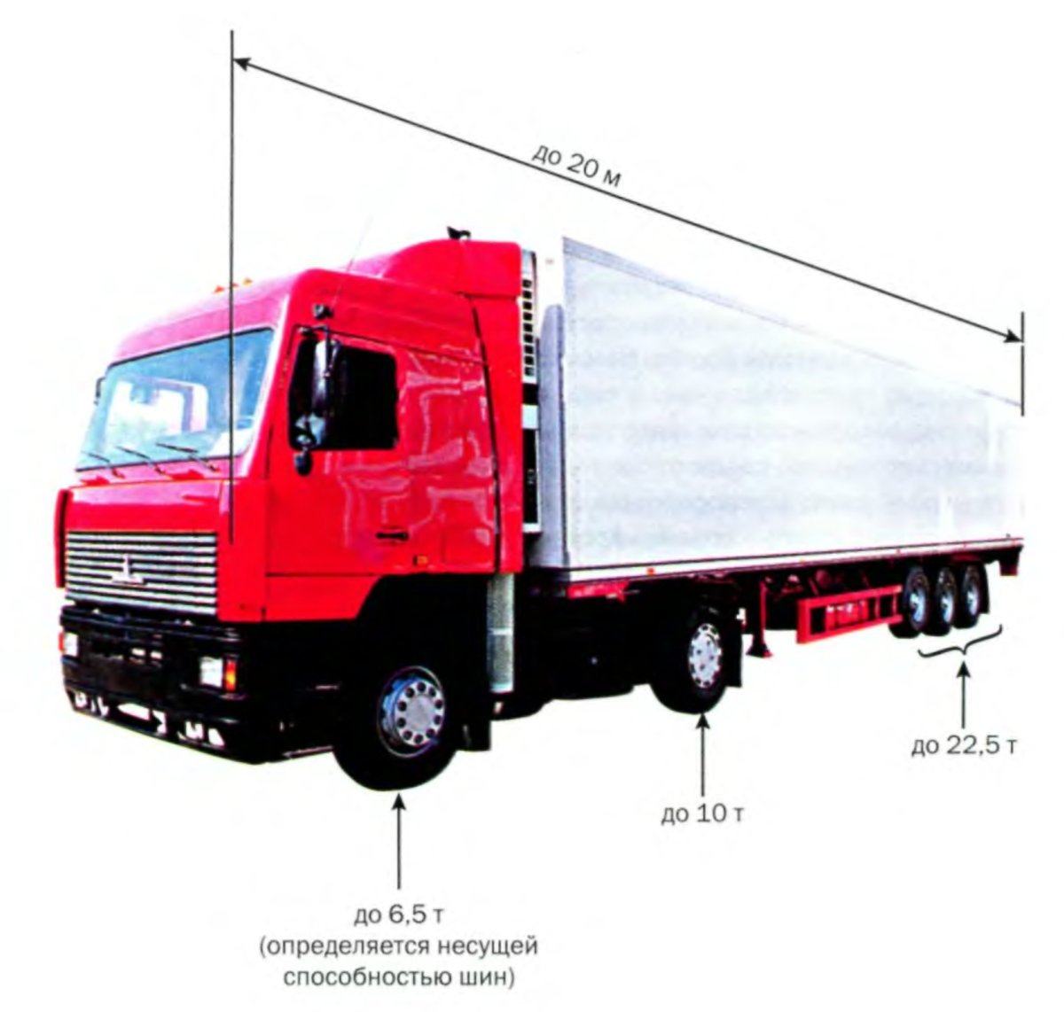 Допустимые габариты автопоезда в России