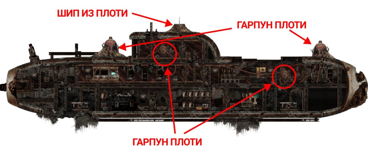 Таламус балластная Флора