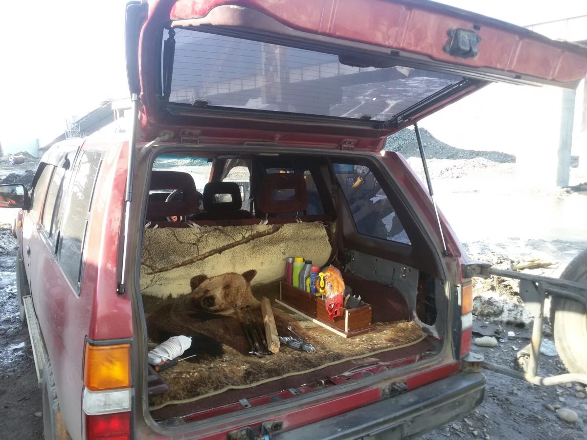 Ниссан Террано 1994 год багажник