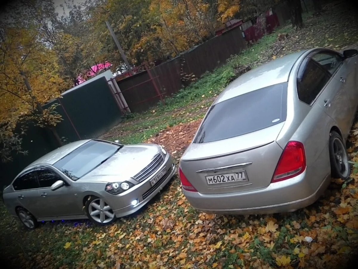 Ниссан Теана j31 с черной крышей