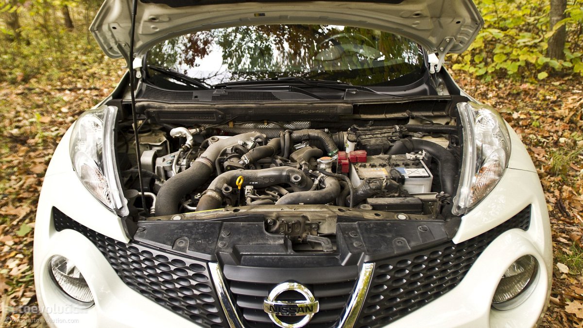 Моторный отсек Ниссан Жук