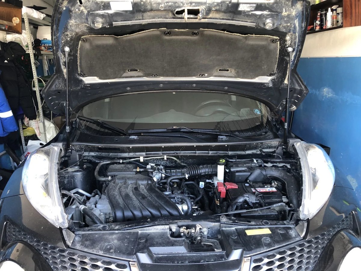 Упоры капота на Ниссан Жук