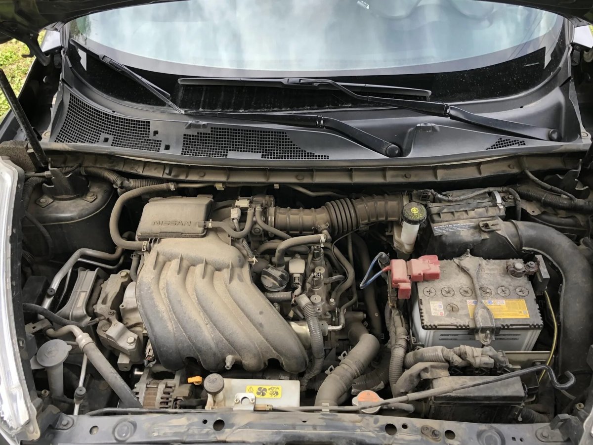 Мотор на Жук 1.6 двигатель Ниссан