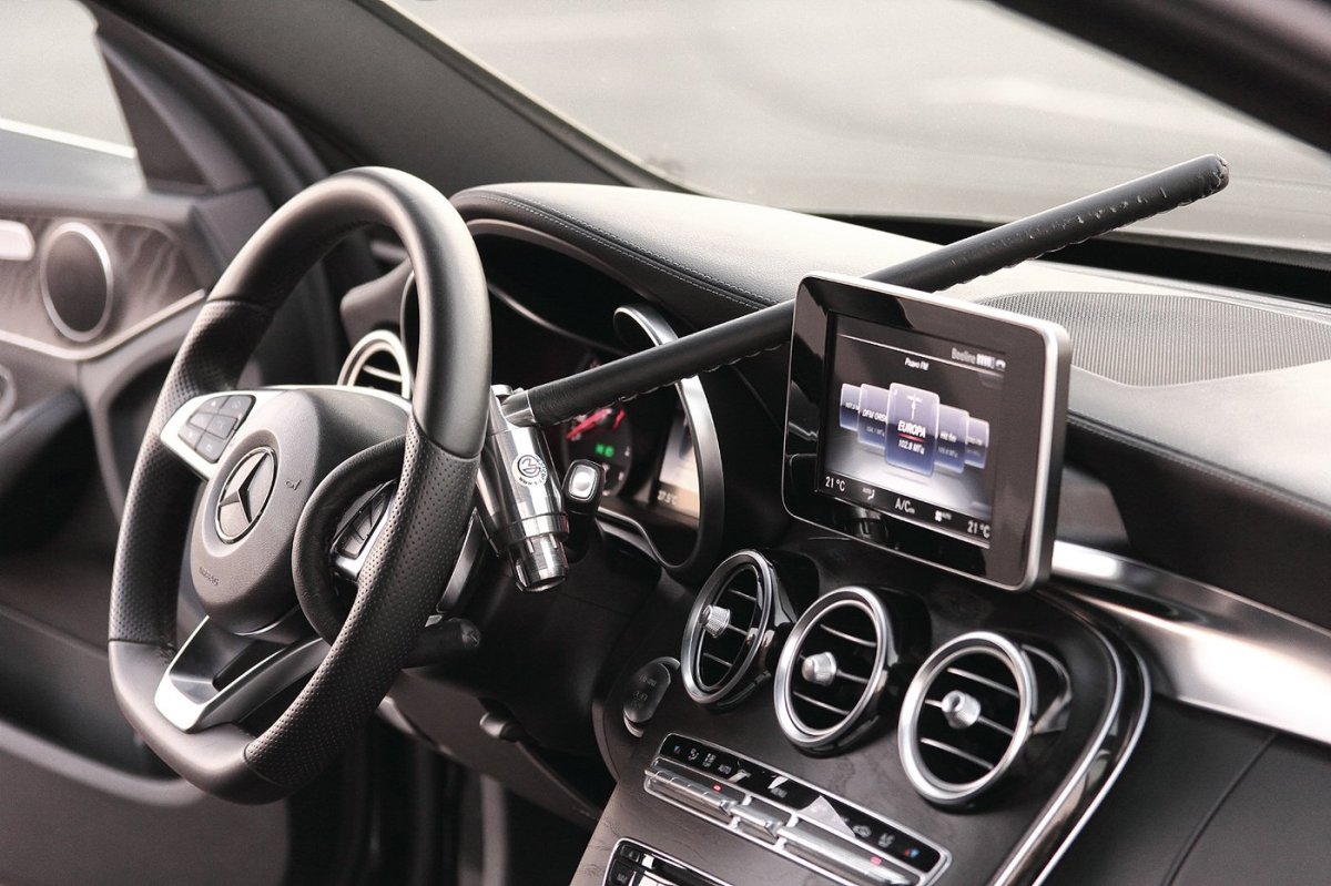 Противоугонная система питон