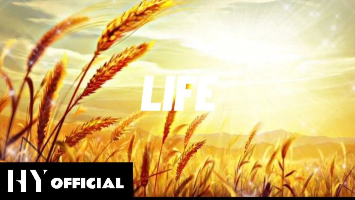 Пшеница фон