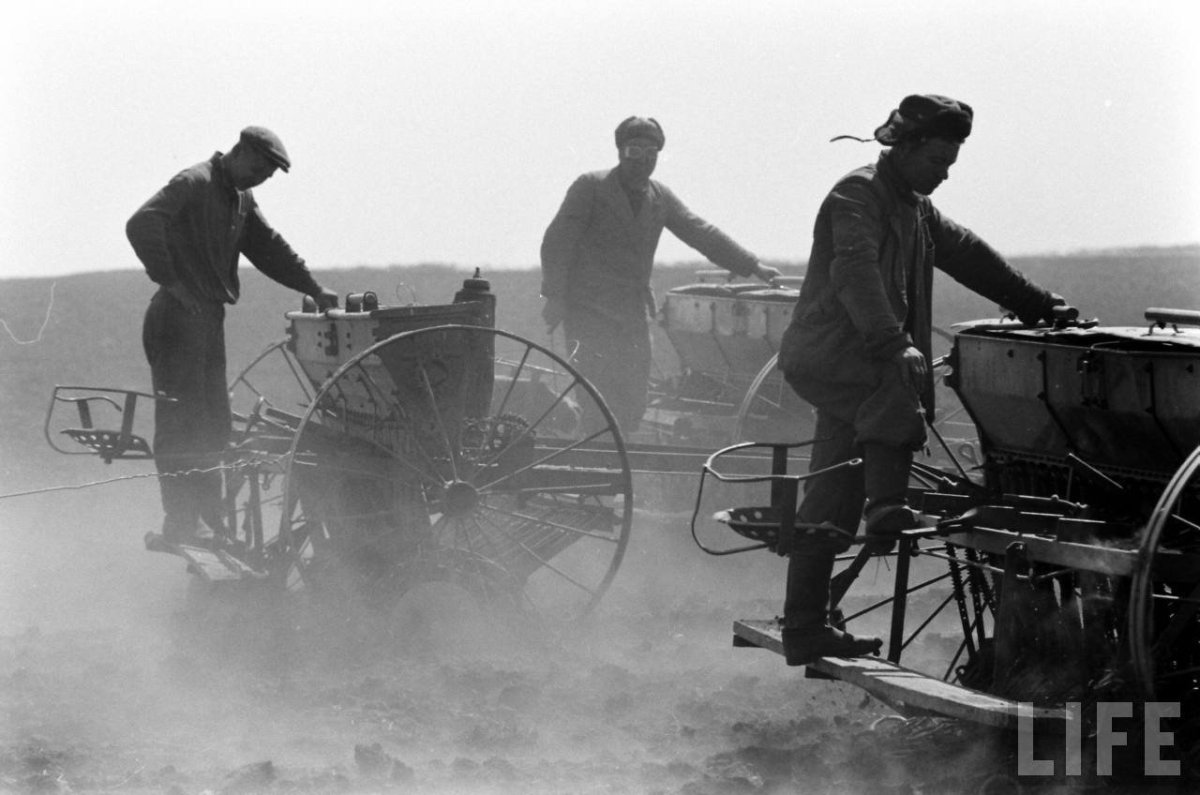 Освоение целины 1960