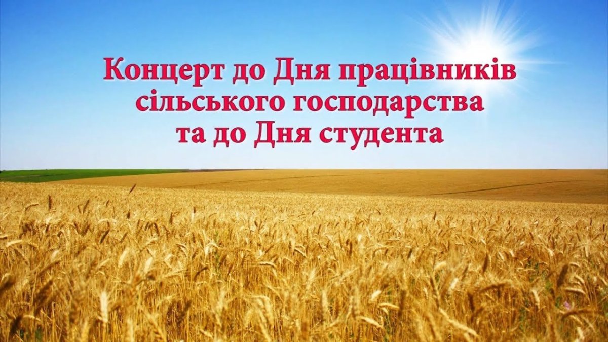 Хлебные поля Краснодарского края