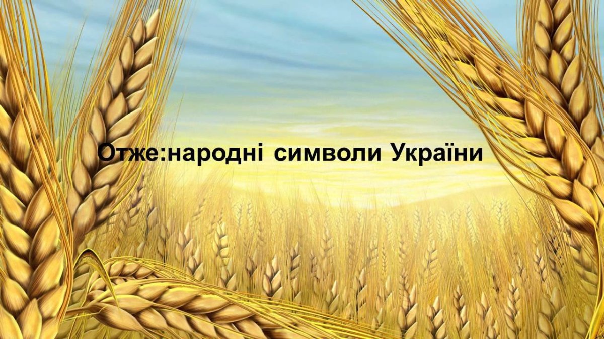 Колосья пшеницы