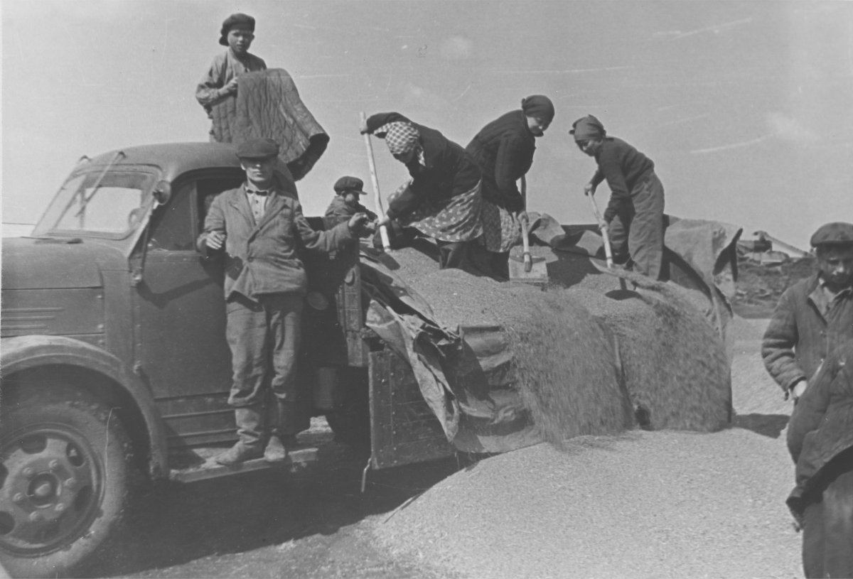 Целина 1956 1958