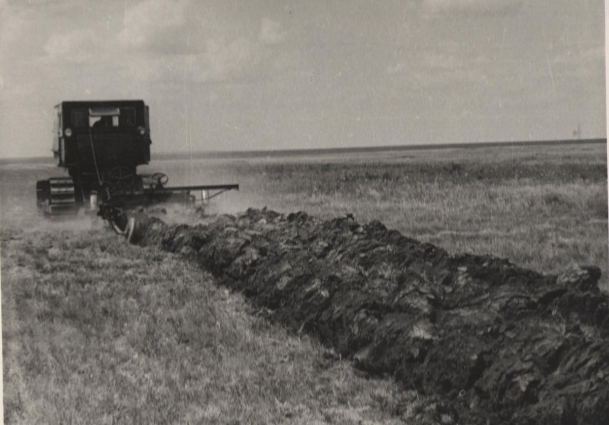 Целина Алтайский край