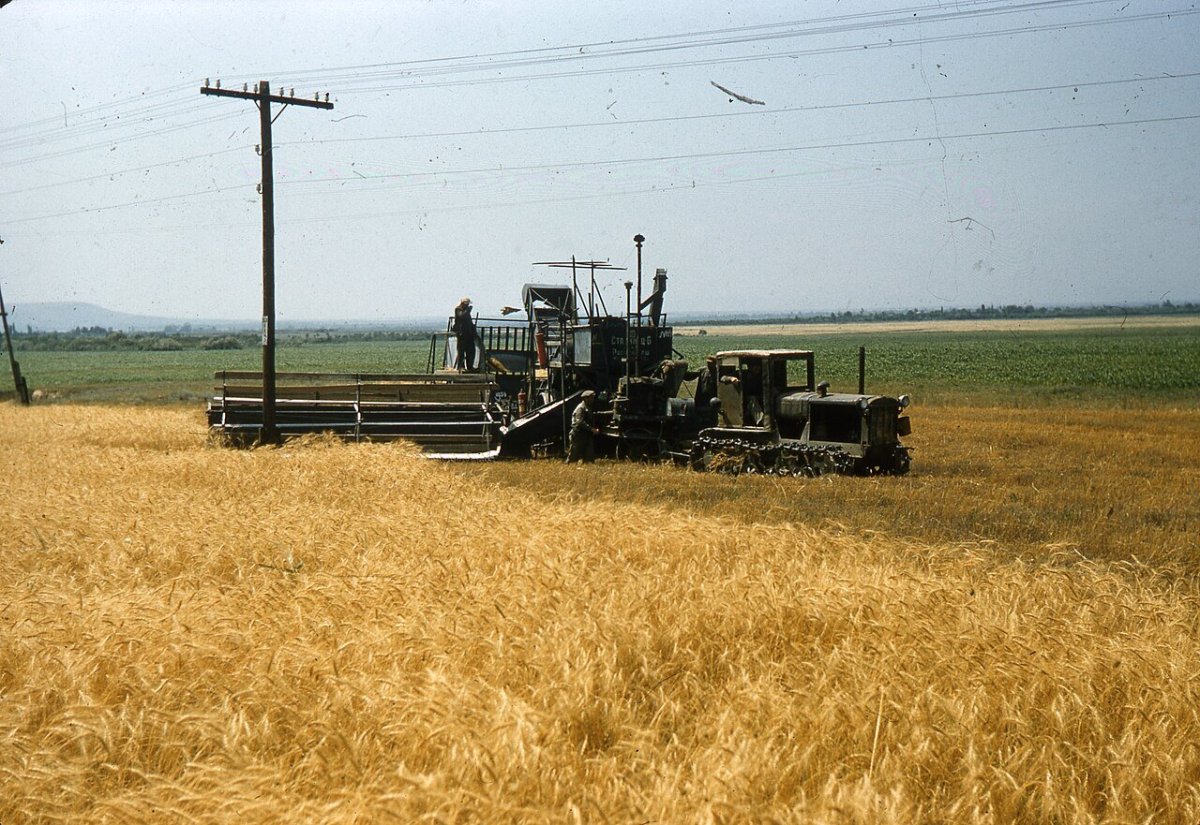 Комбайн Сталинец