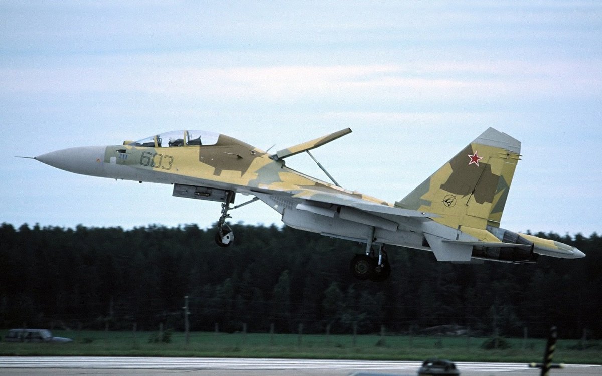 Су-30мки кабина