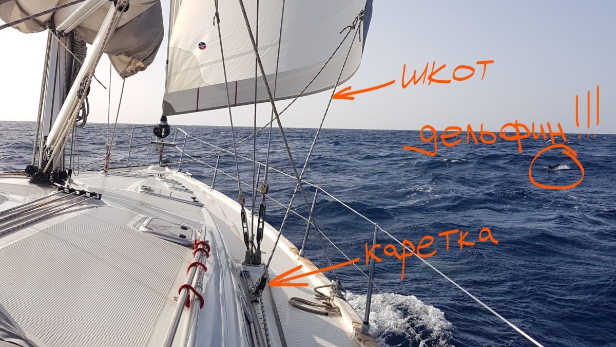 Стаксель шкот