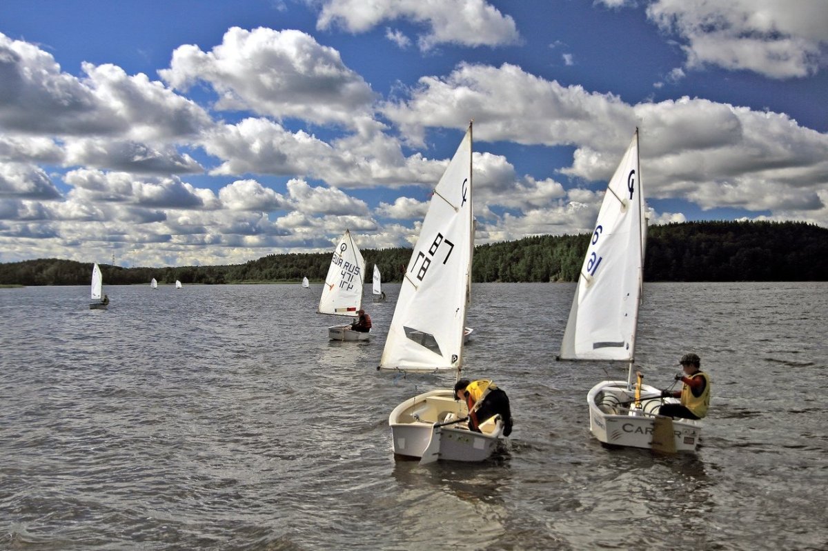 Регата Алексеева 2022